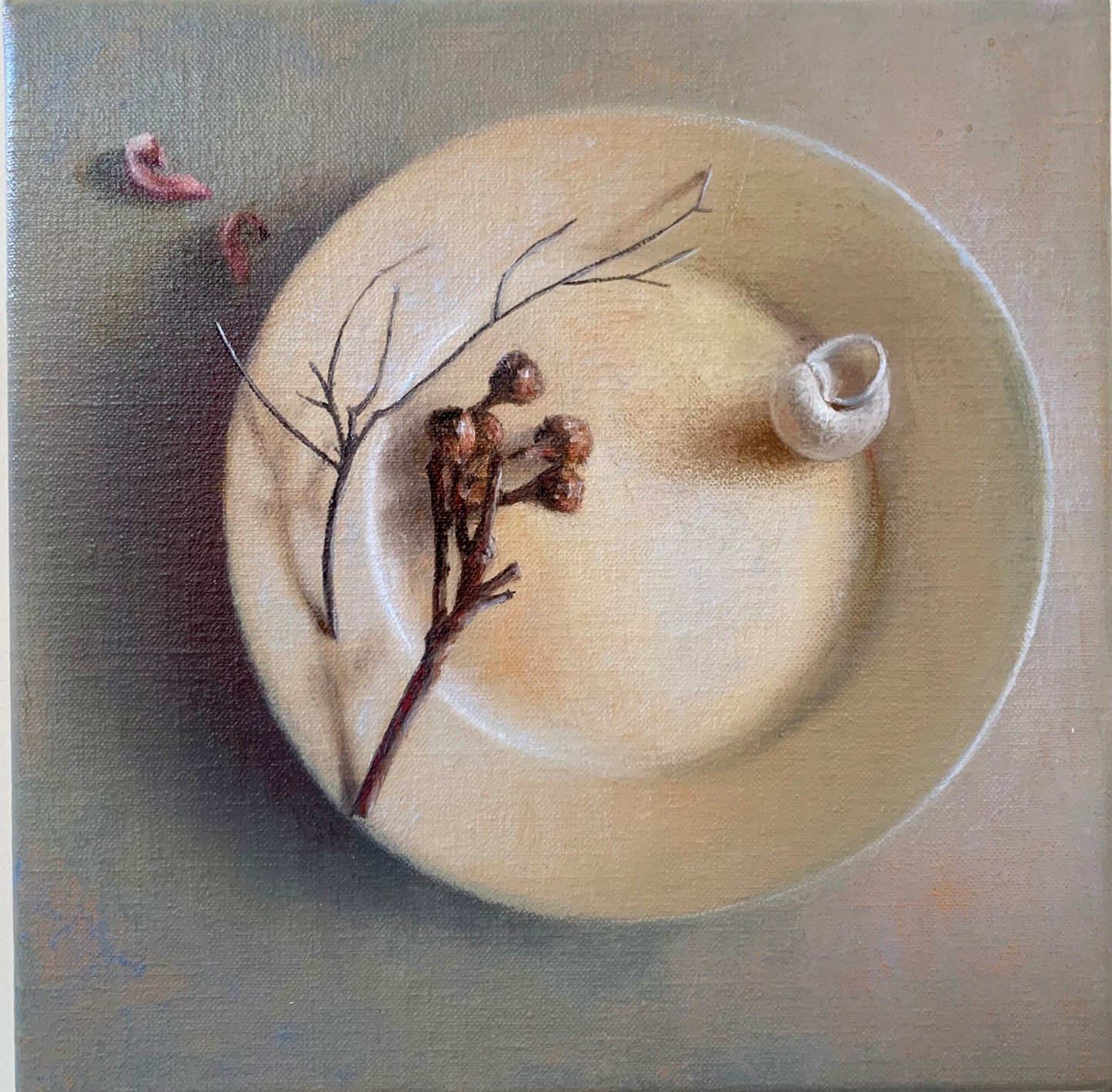 Ethereal Painting of a plate with ea shell and gumnuts